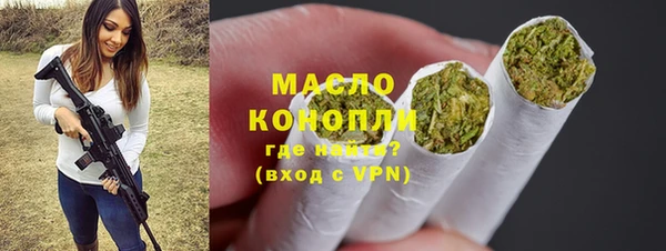 индика Абинск