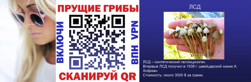 Псилоцибиновые грибы MAGIC MUSHROOMS  мега ССЫЛКА  Абдулино  наркотики 